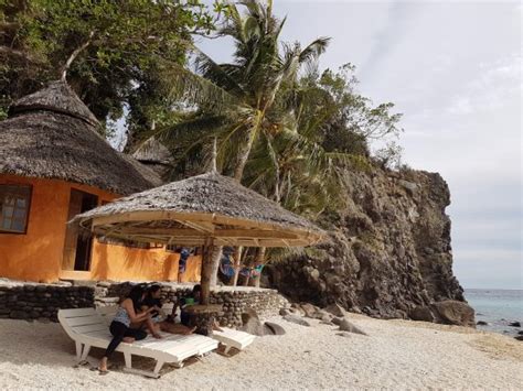 apo island hotels|𝗧𝗛𝗘 𝗕𝗘𝗦𝗧 Hotels in Apo Island of 2024 (with Prices) .